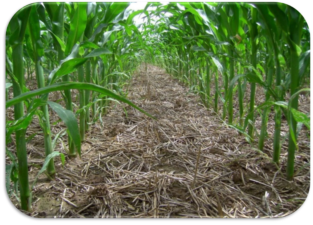 Innovazione per una maggiore sostenibilit&agrave;